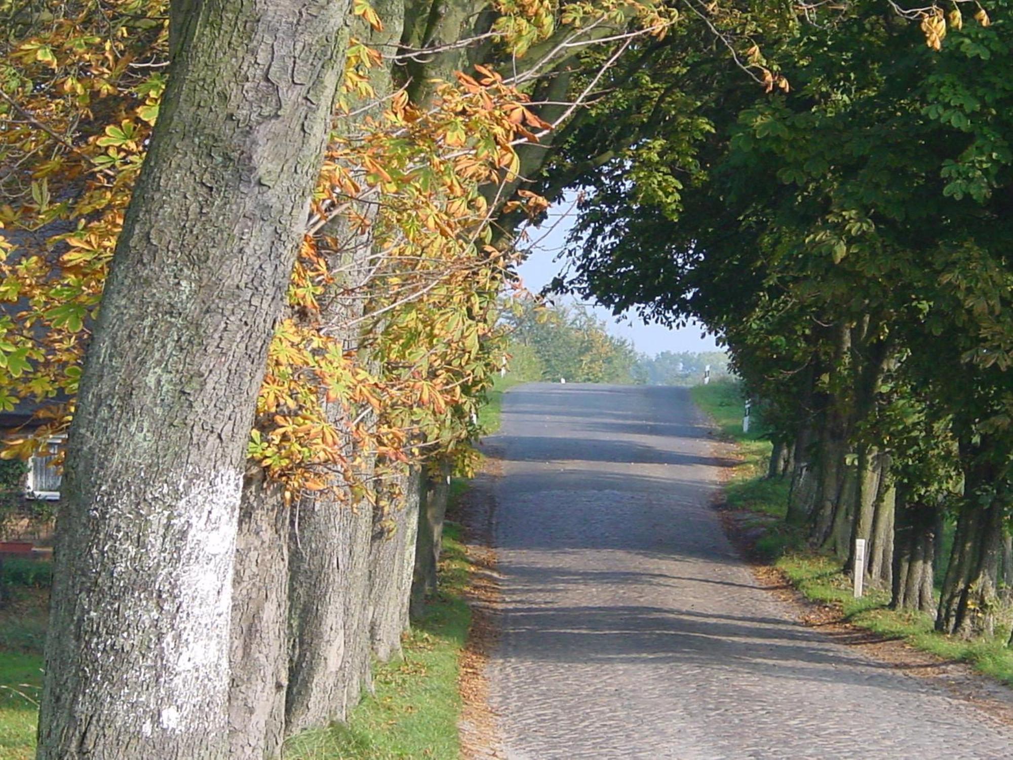 Granitz 21 In Goehren - Nur Paar Schritte Bis Zum Goehren (Ruegen)